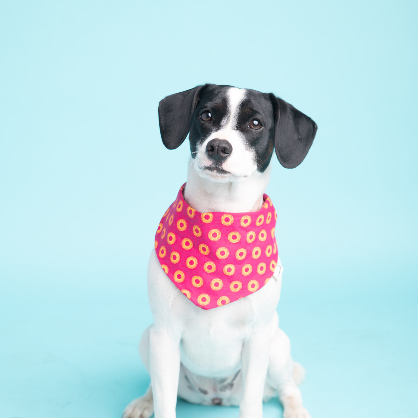 Bandana in Pinkem Shweshwe