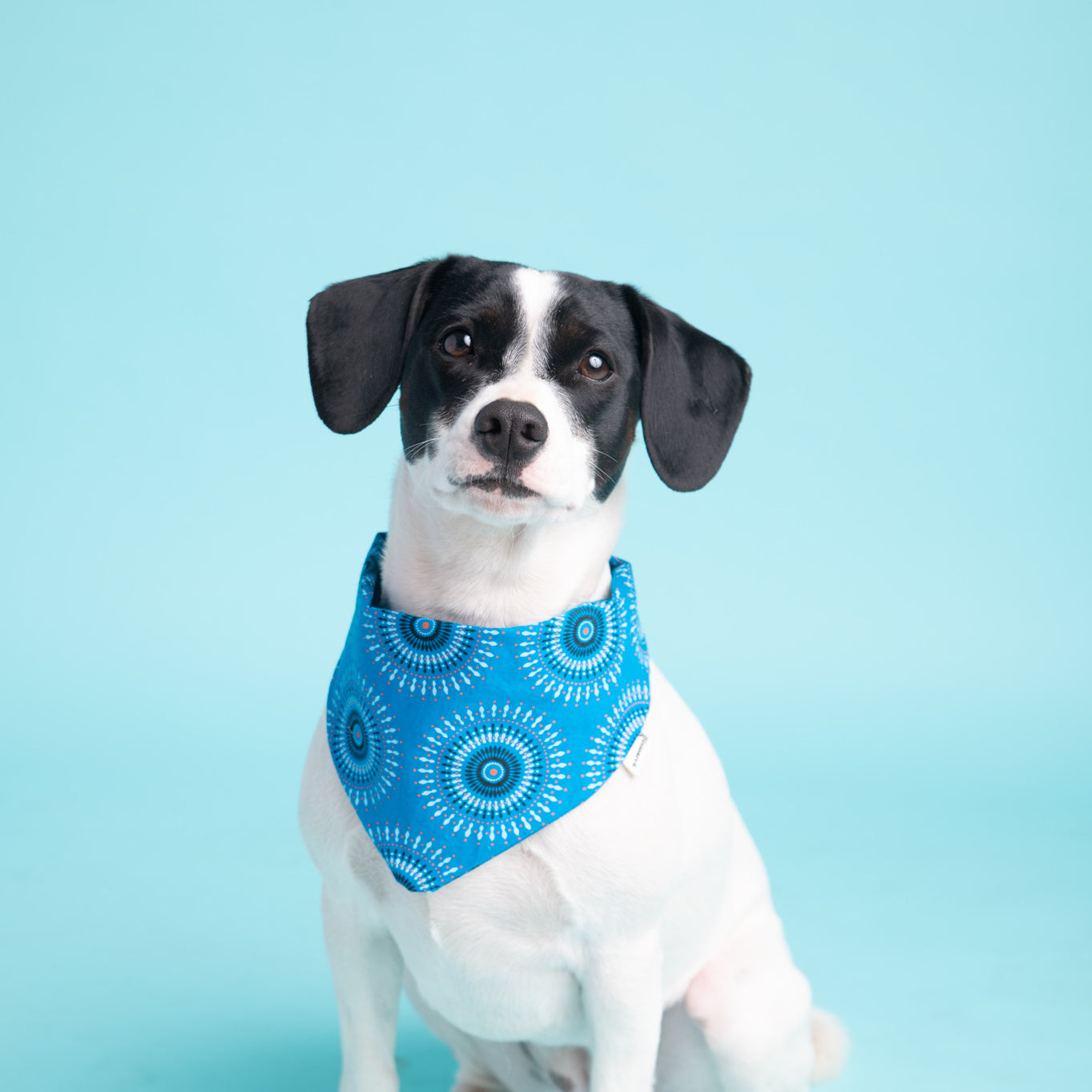 Bandana in Blauem Shweshwe
