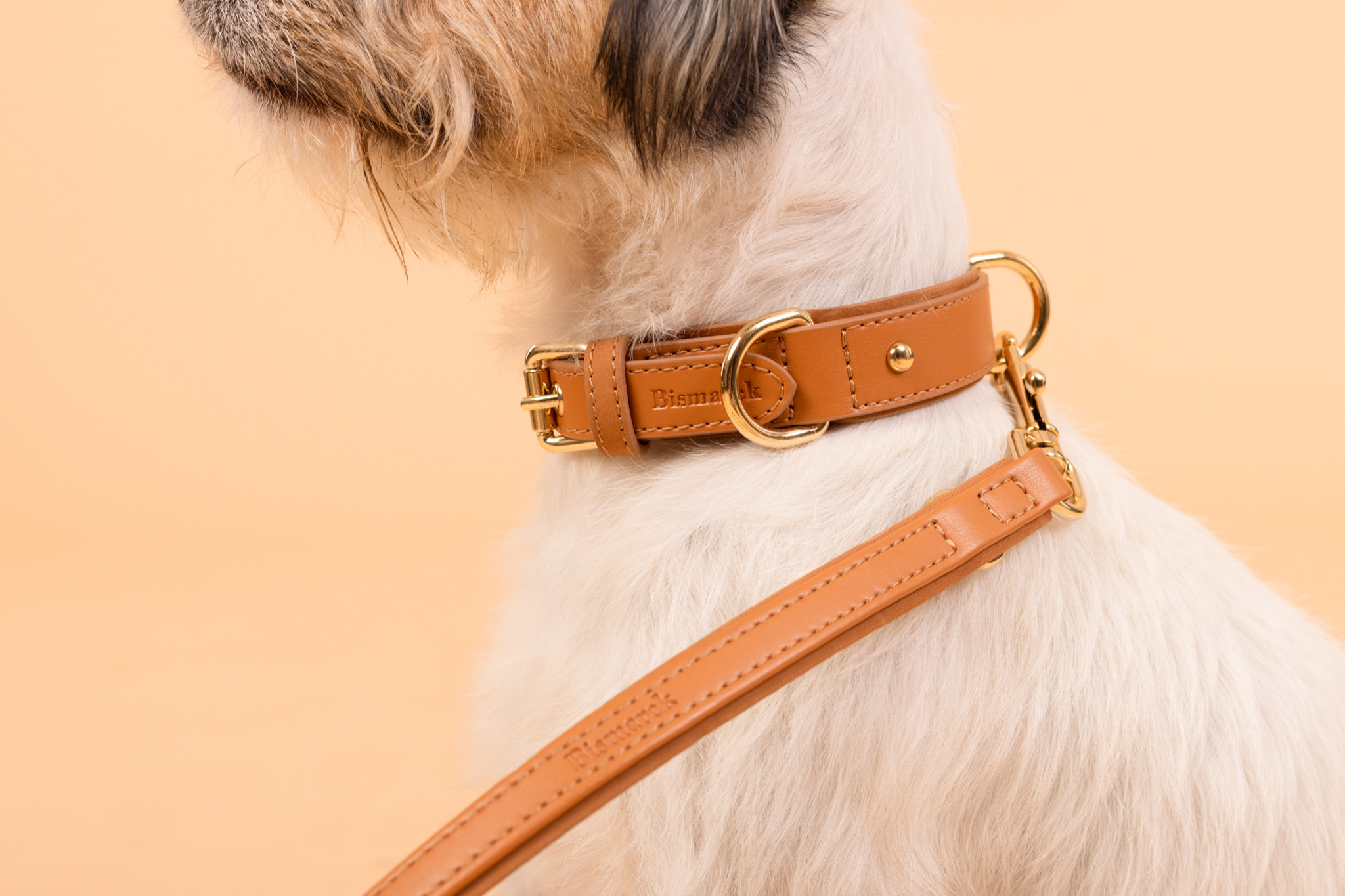 Apple Leather Collar in Camel