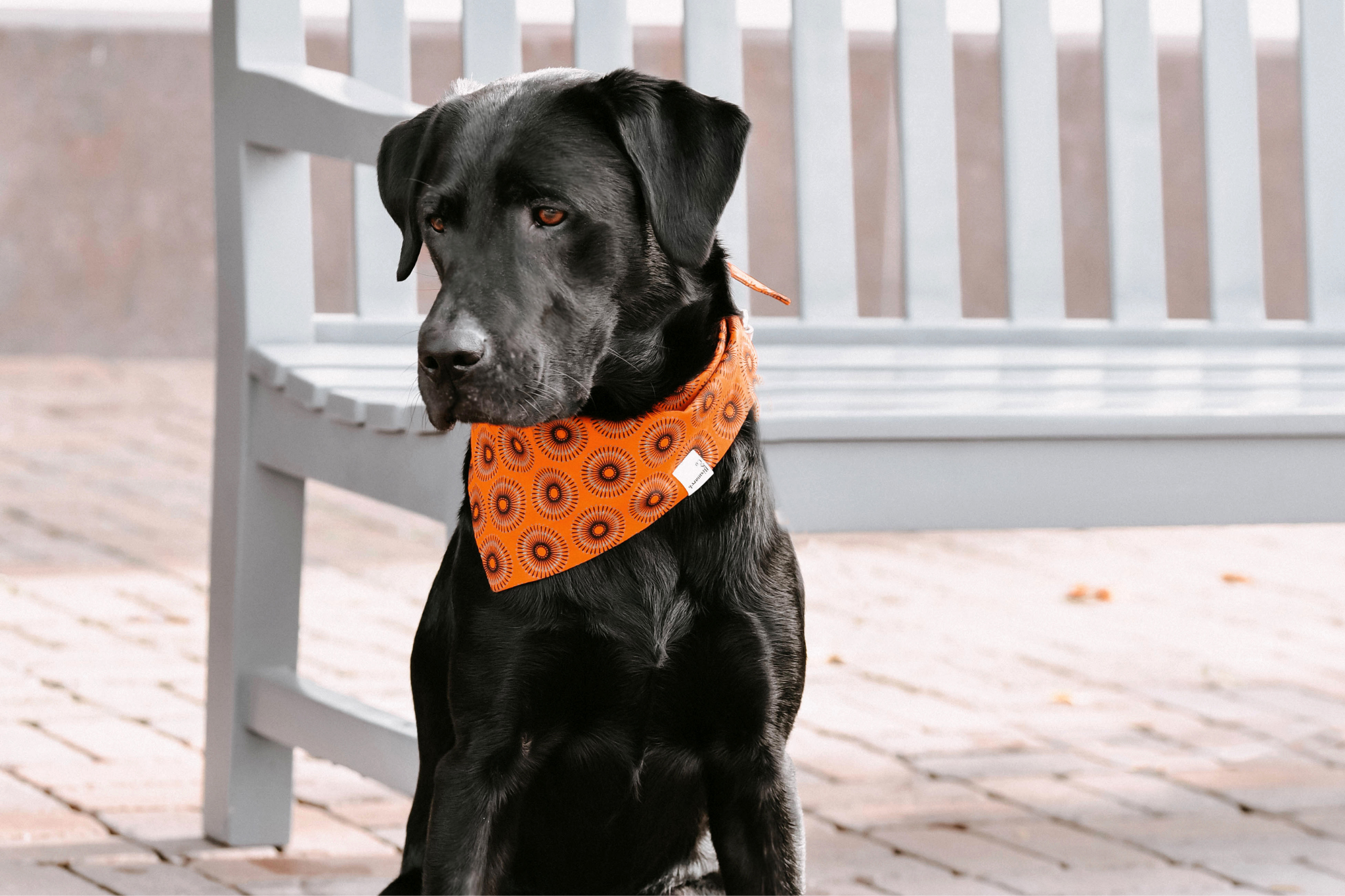 Bandana in Orangem Shweshwe