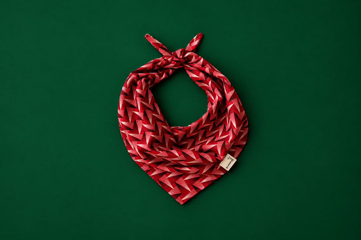 Bandana in Kiefernrot