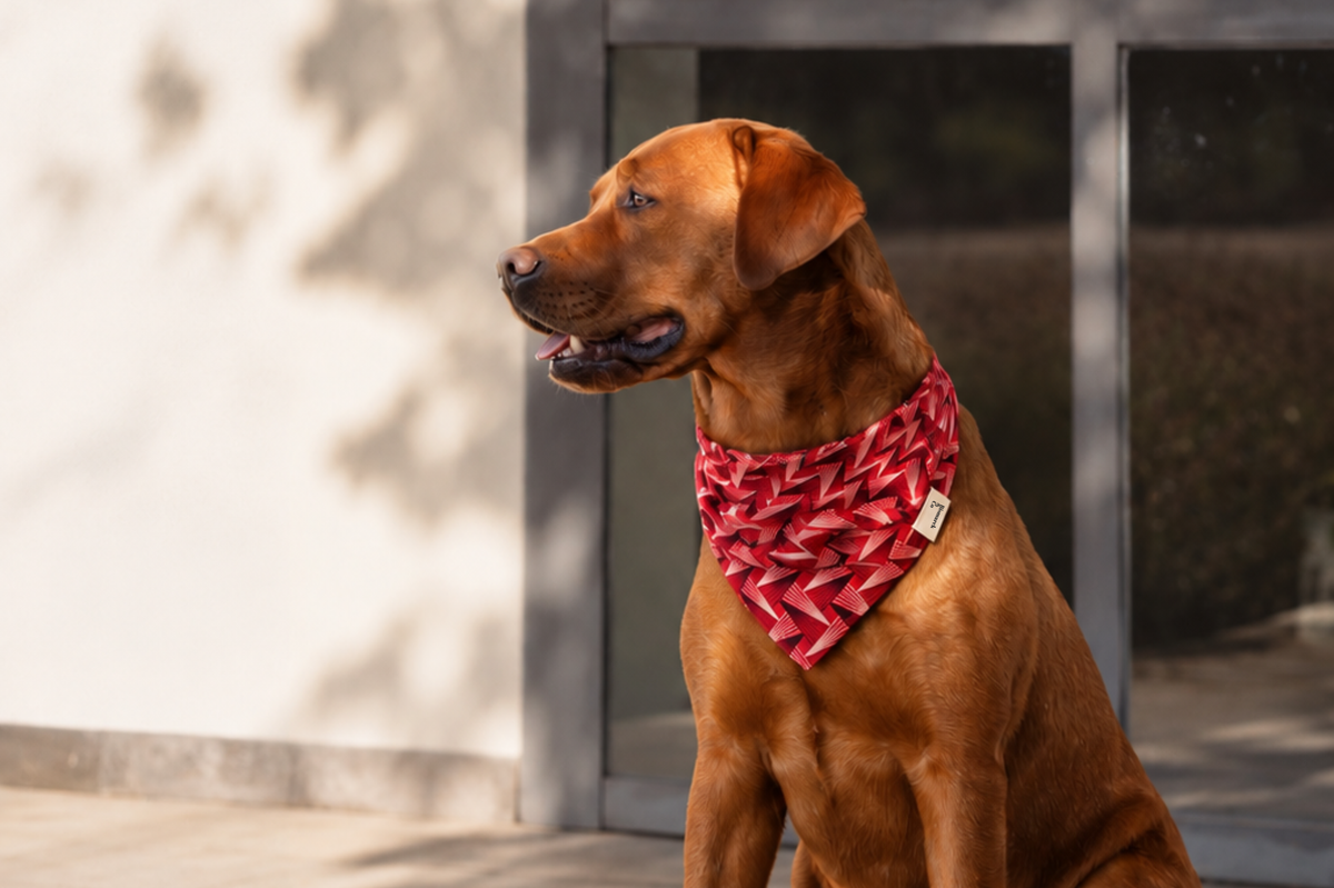Bandana & Scrunchie in Red Pine