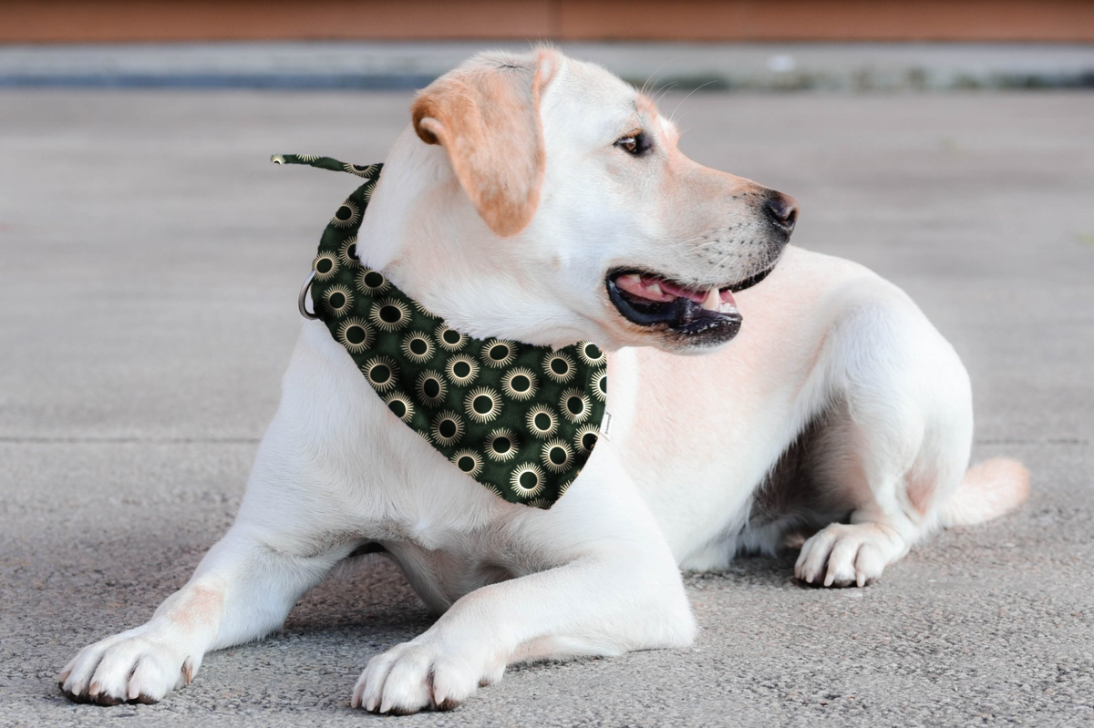 Bandana & Scrunchie in Winter Green