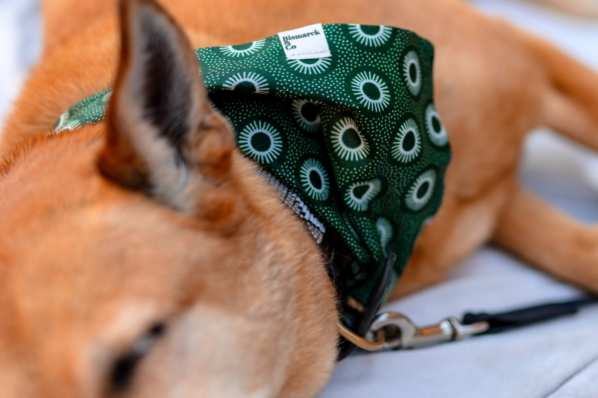 Bandana & Scrunchie in Winter Green