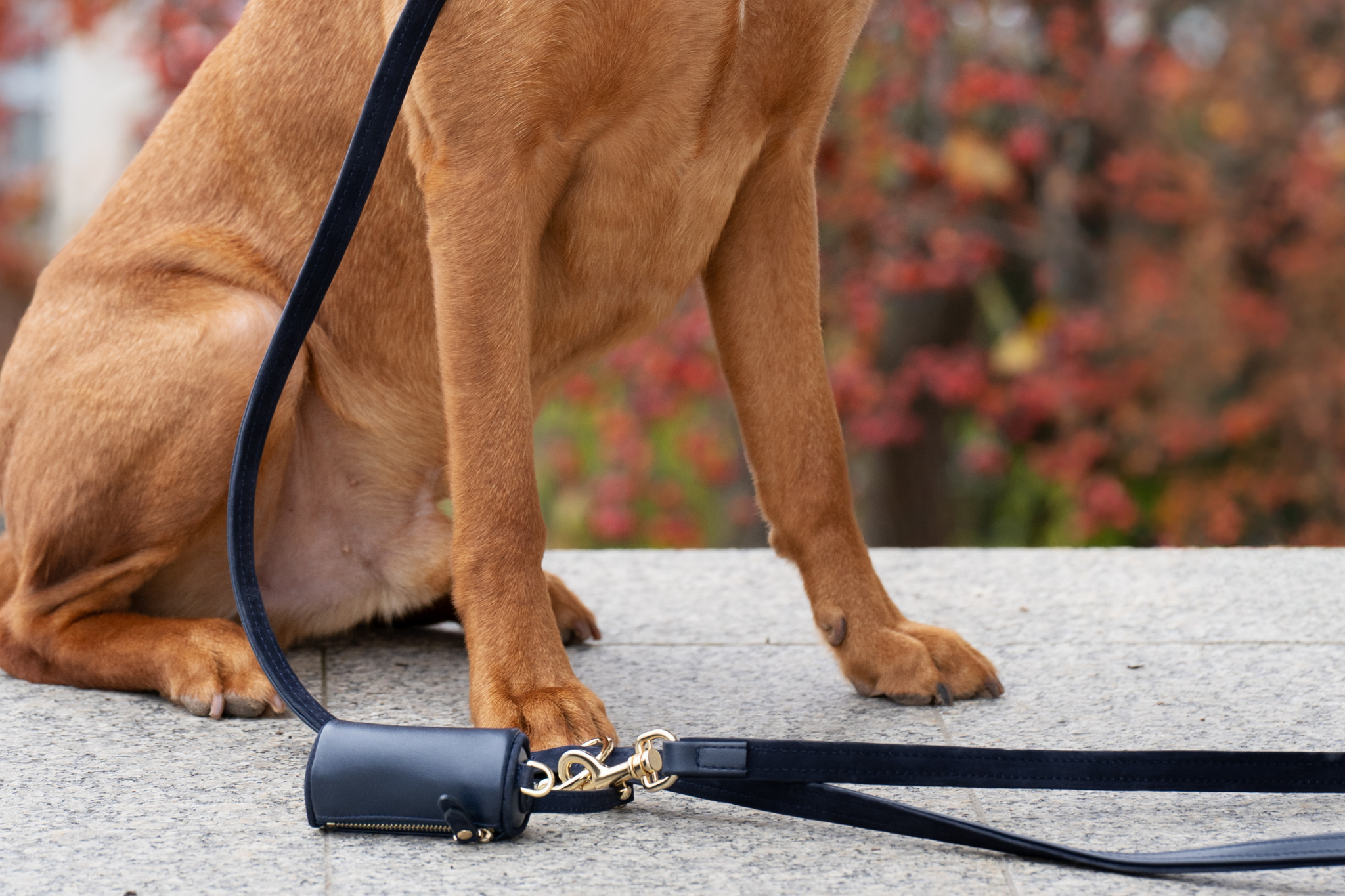 Apple Leather Poop Bag in Royal Blue