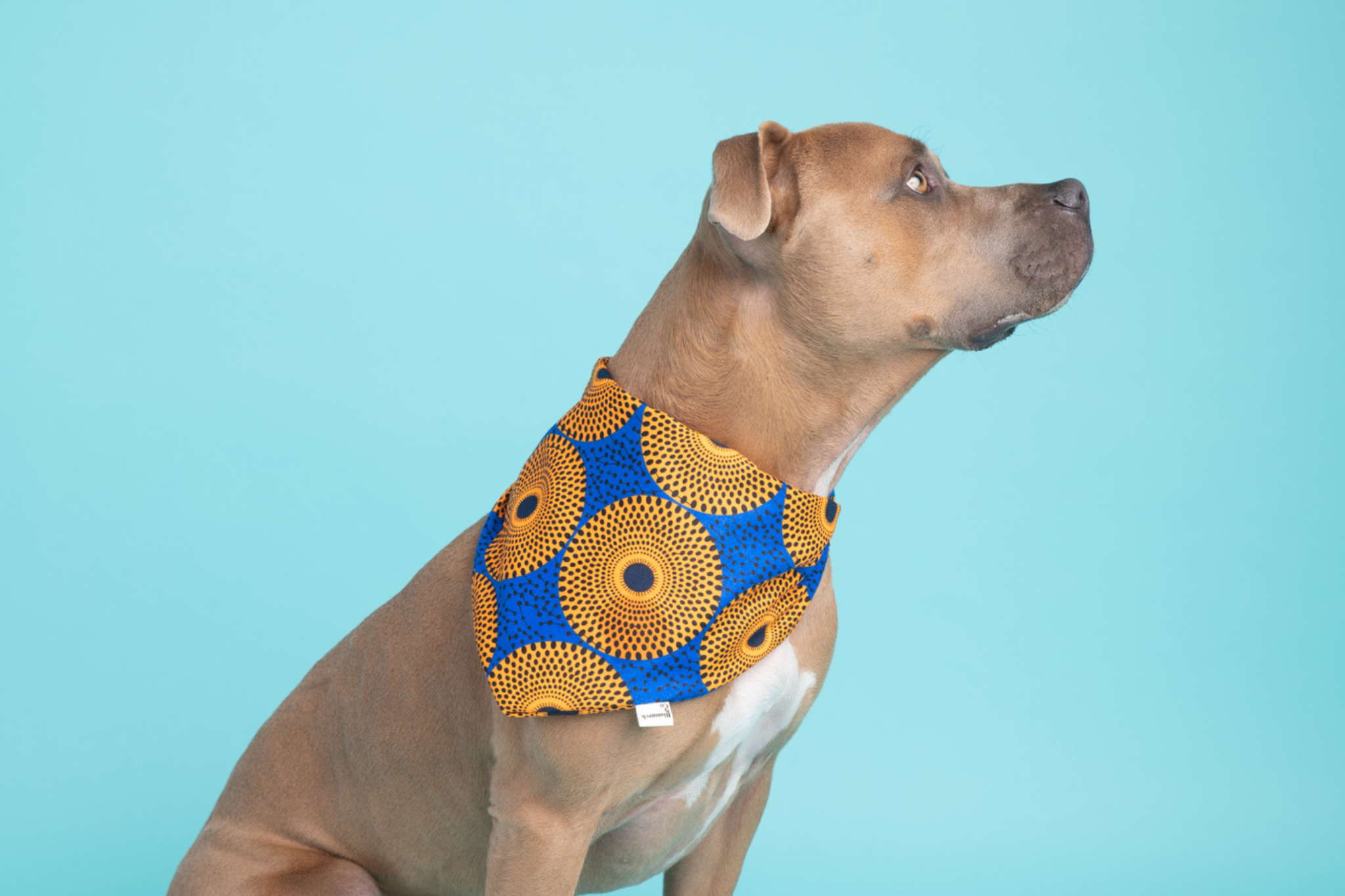 Bandana in Sonnenaufgang Shweshwe