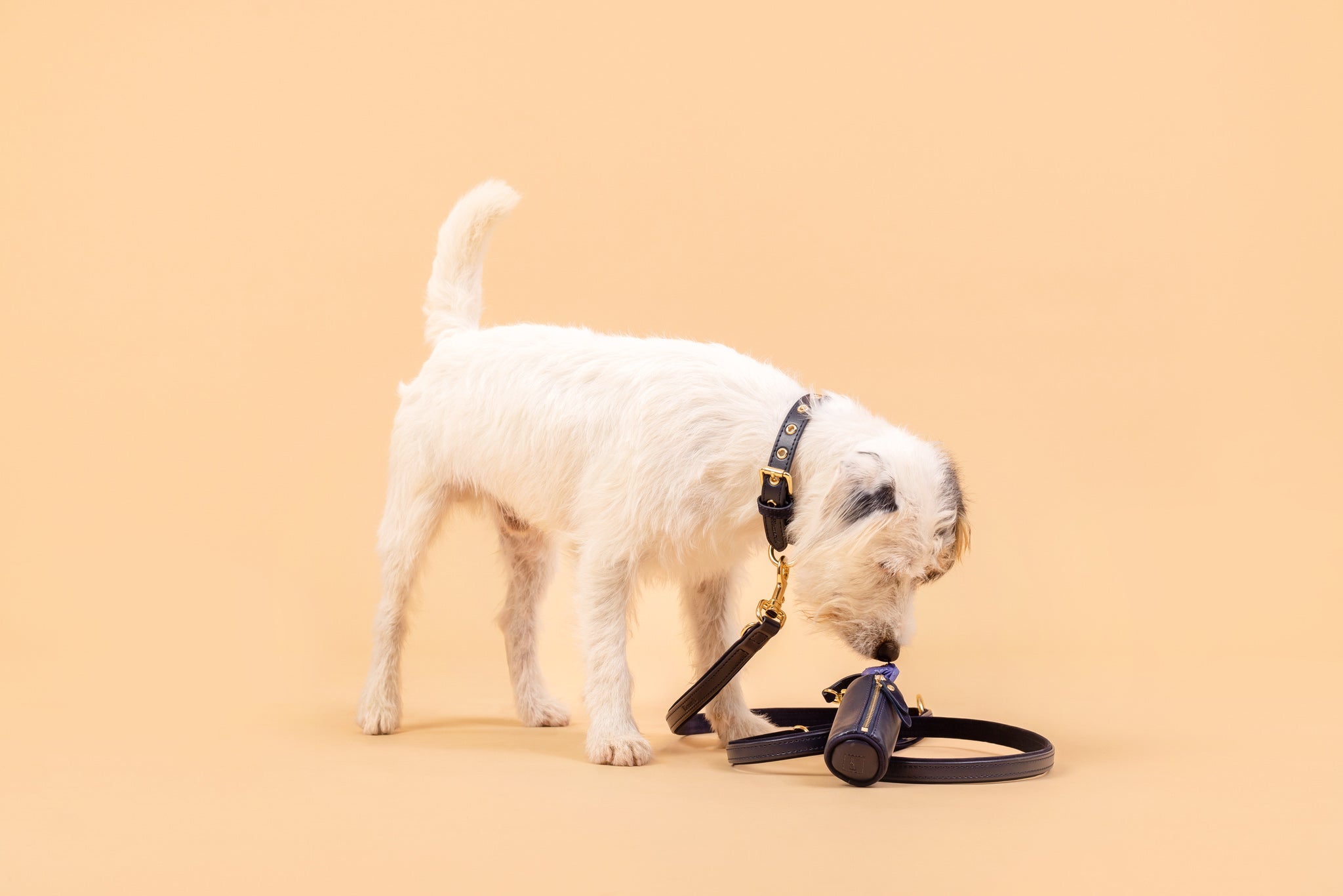 Kotbeutelspender aus Apfelleder in Königsblau