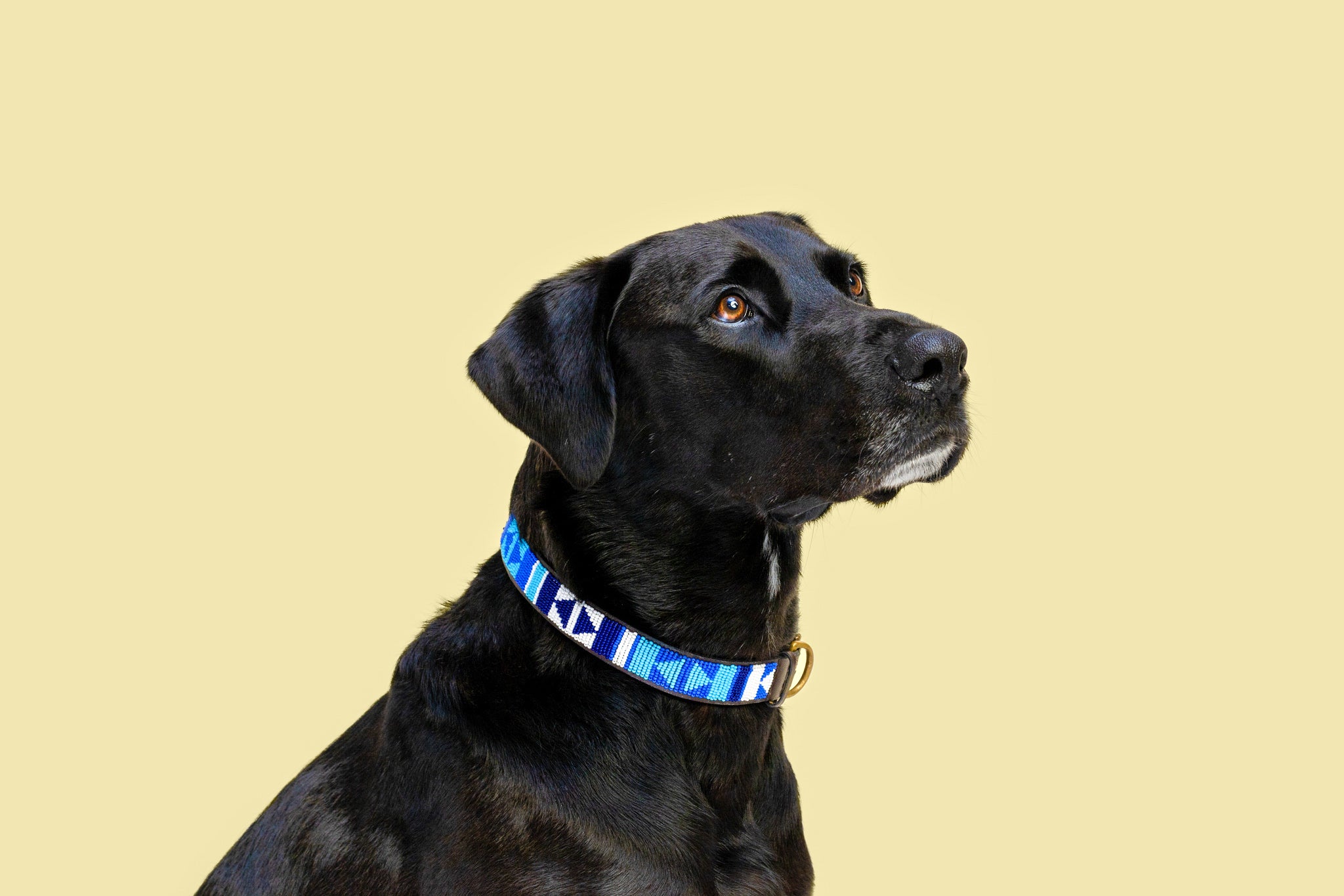 Beaded Collar | Blue Ocean