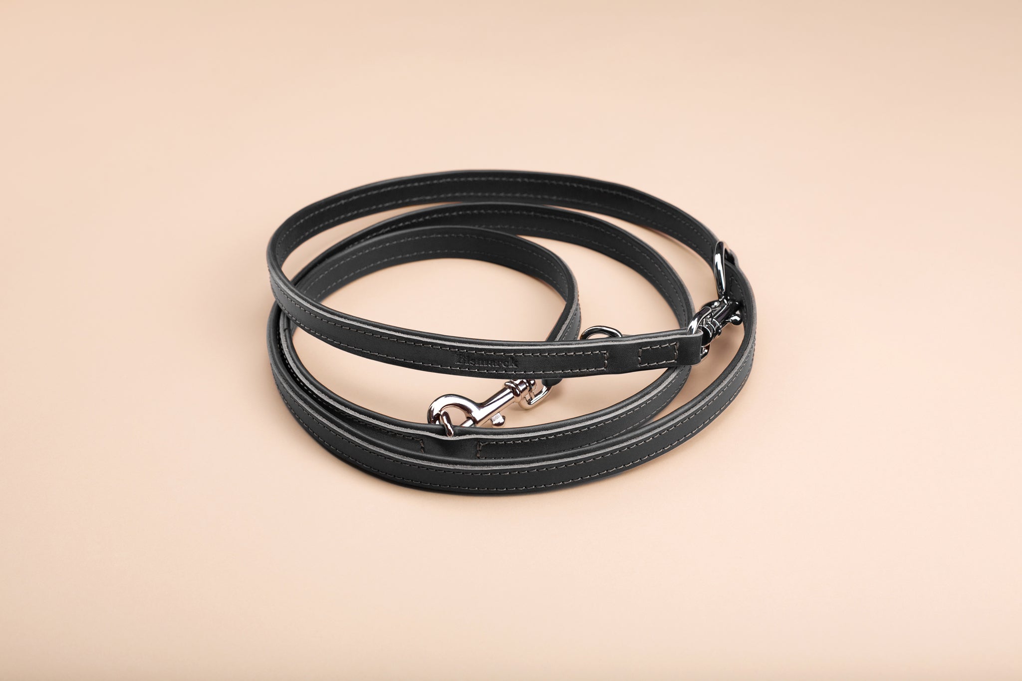 Leine aus Leder in Schwarz