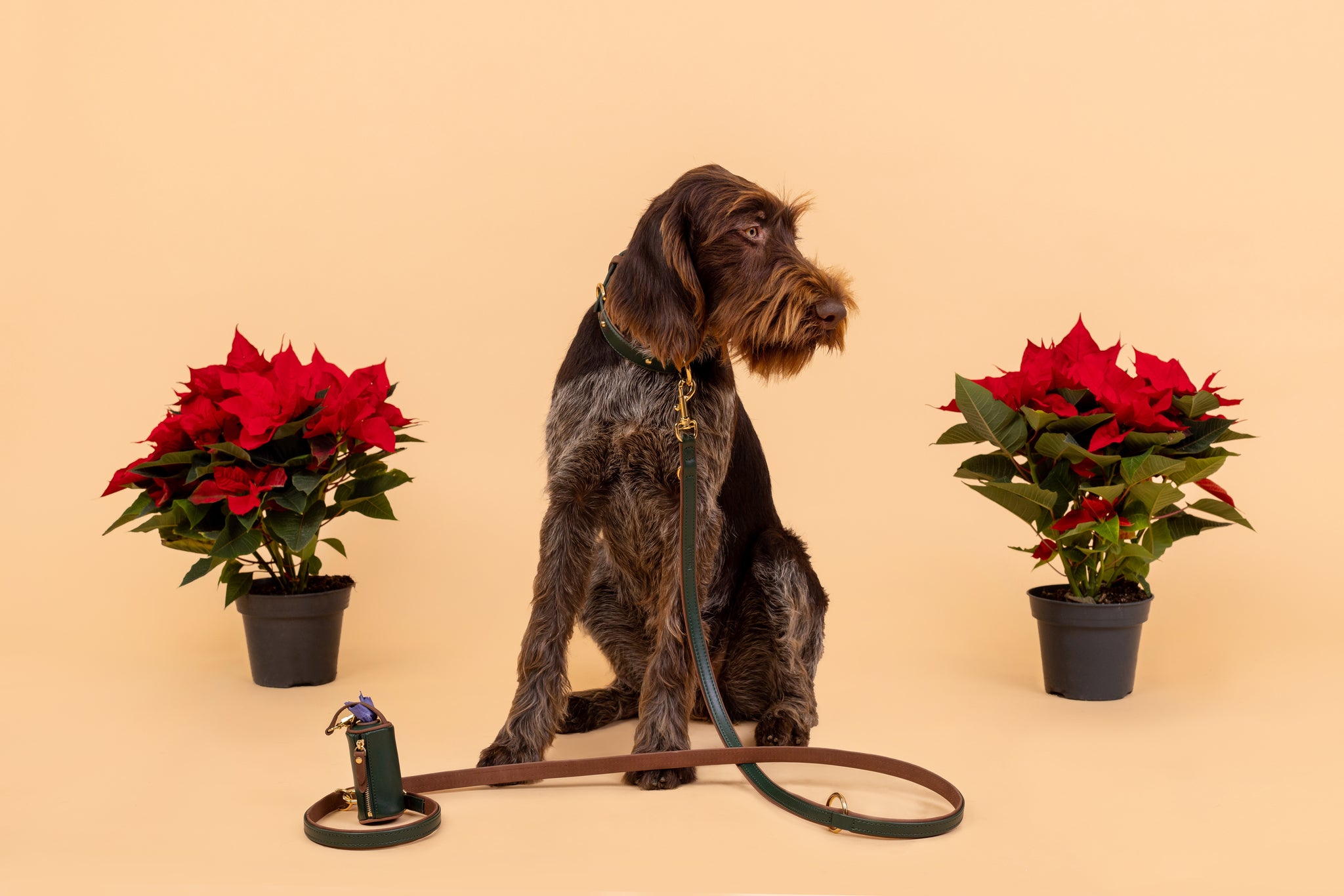 Apple Leather Poop Bag in Winter Green