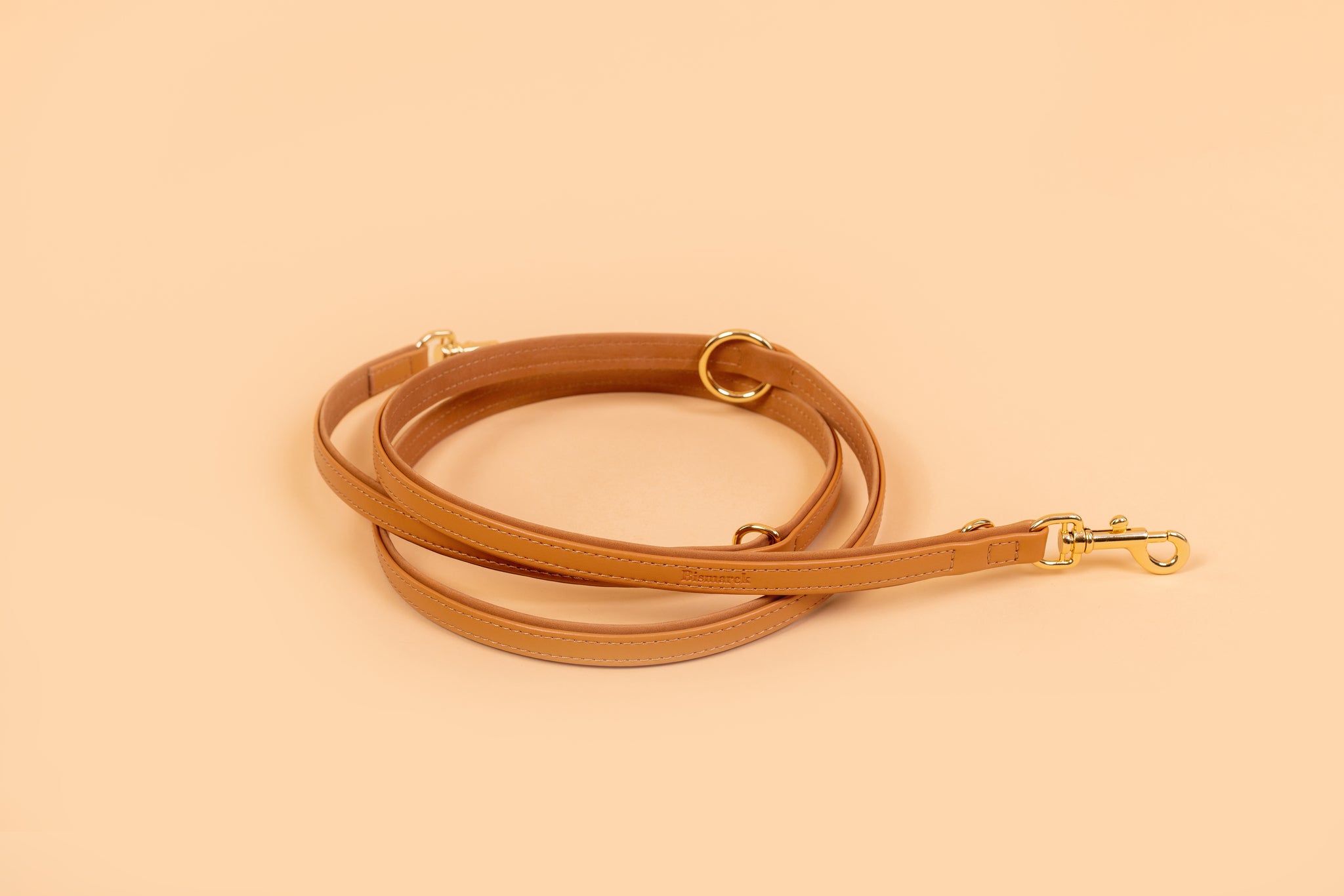 Apple Leather Leash in Camel