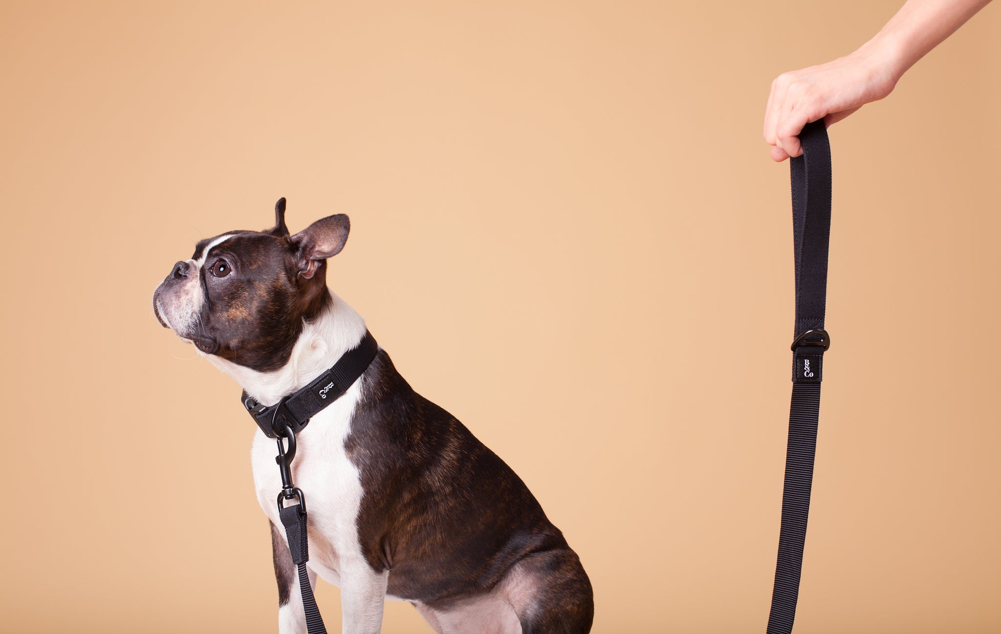 Streetstyle Leash in Black