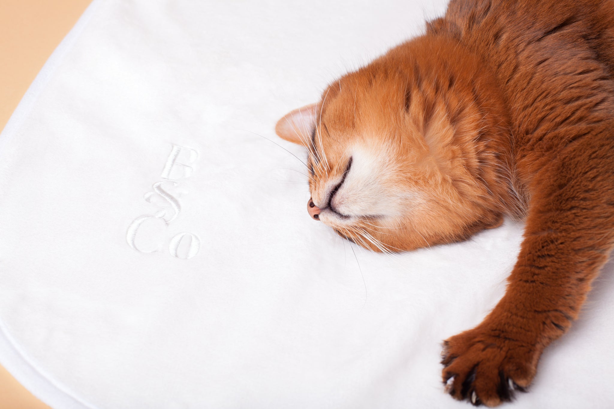 Soft Fleece Blanket in Cream