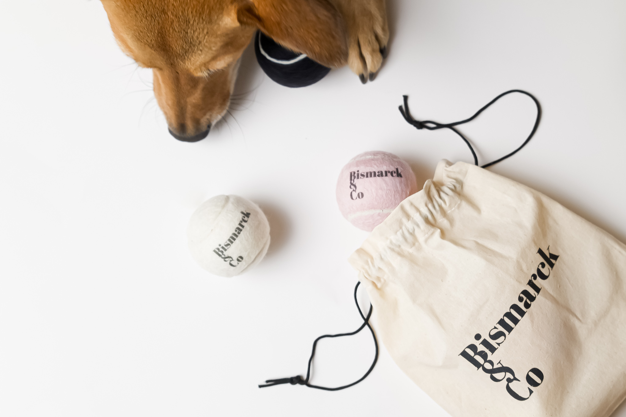 Tennisbälle für Hunde | 3er Set