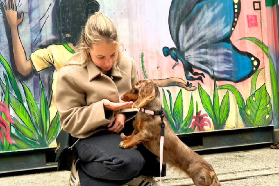 Eine Bismarck&Co Story mit Vera und Hanni @hanni_the_dachshund