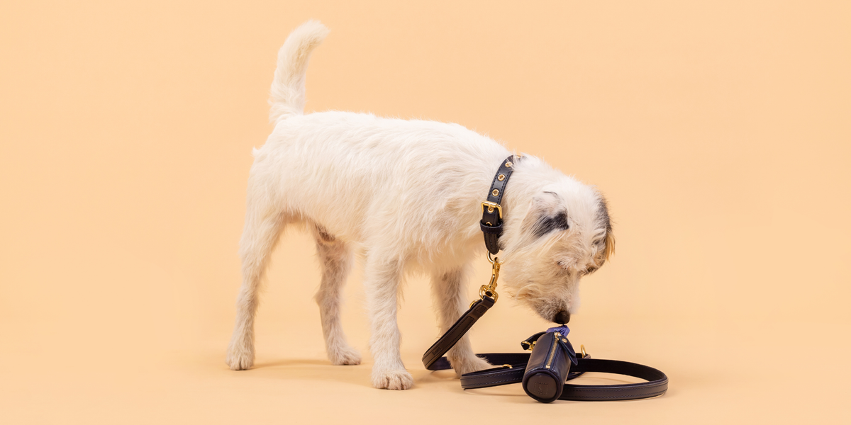 Apple Leather Poop Bag Holders