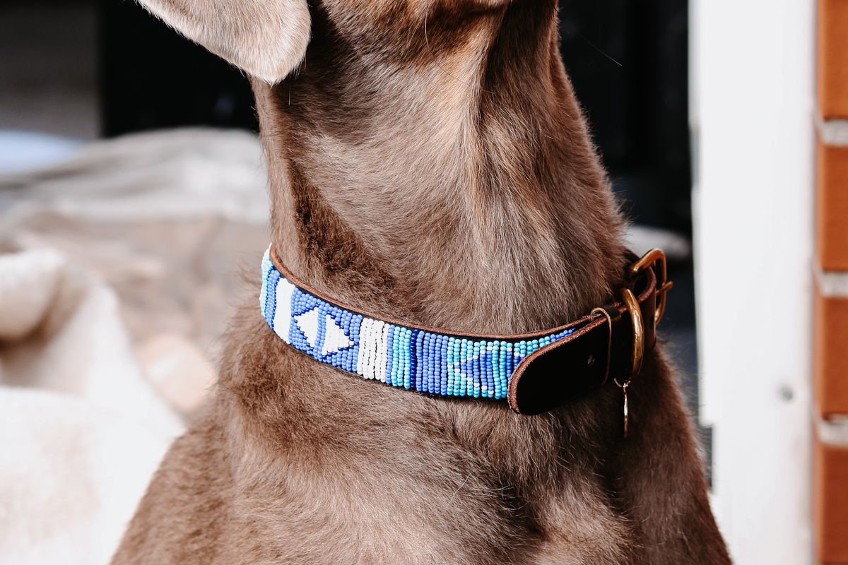 Beaded Collar | Blue Ocean